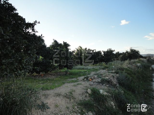 FINCA RUSTICA O CAMPO EN ALFARP