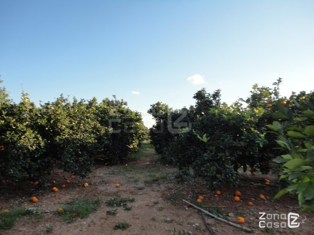 FINCA RUSTICA O CAMPO EN ALFARP