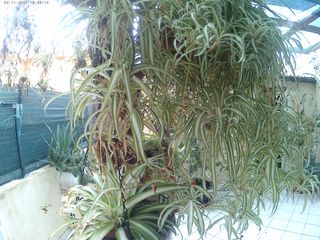 MgCool Explorer PRO action cam