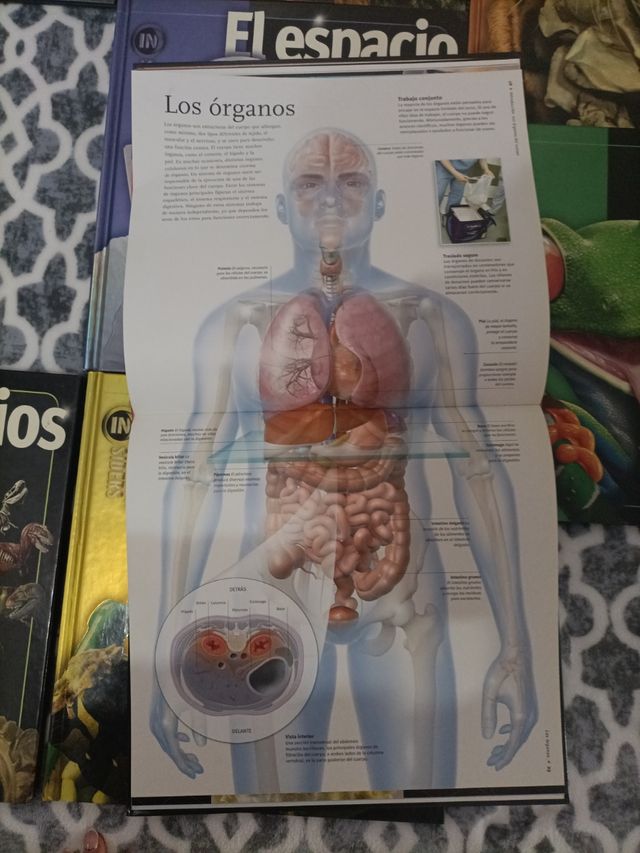 Colección de libros naturaleza