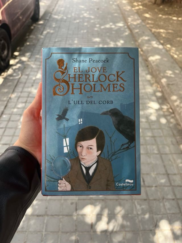 El joven sherlock holmes