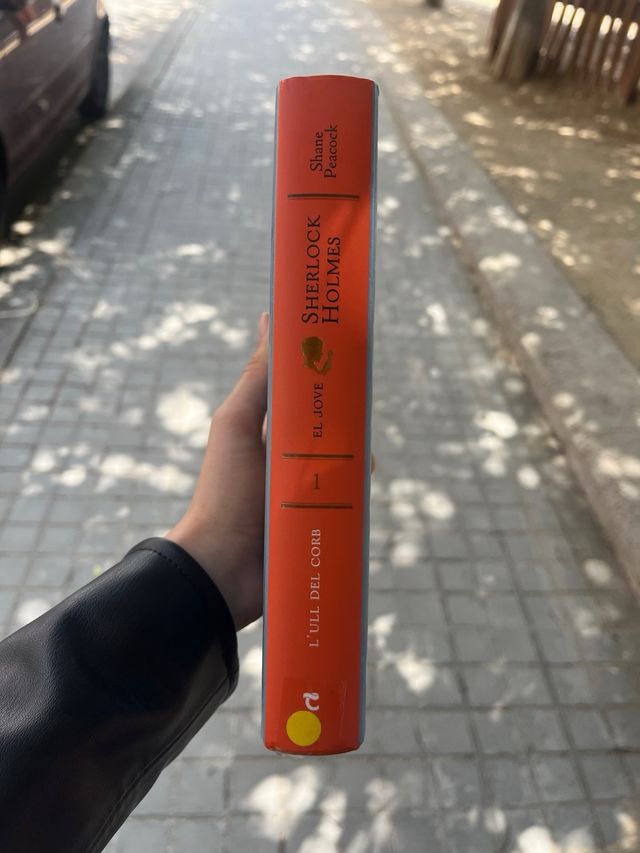 El joven sherlock holmes