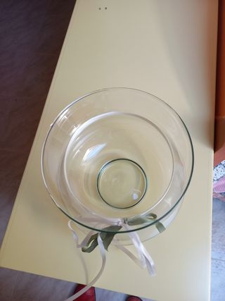 Vaso in vetro 