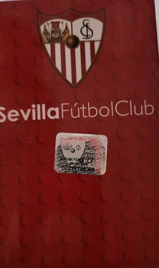 Brick team sevilla 