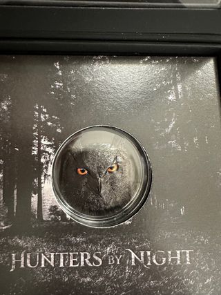 Moneda plata buho 10$ bu night 