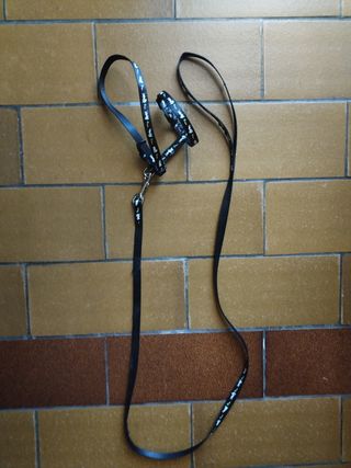 Pettorina e guinzaglio coniglio