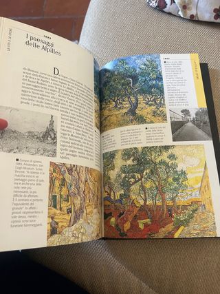 Libro sulla vita e le opere di Van Gogh 2005