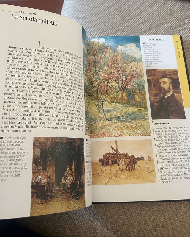 Libro sulla vita e le opere di Van Gogh 2005