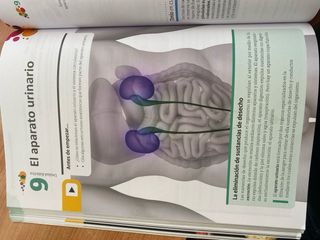Libro anatomofisiologia y patologias basicas 