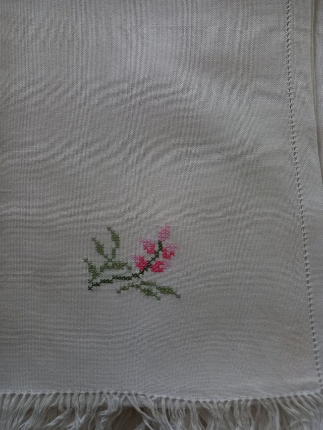 Asciugamani ricamati