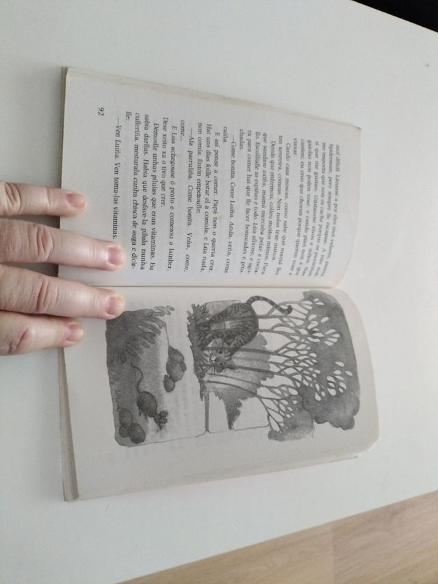 O misterio dos fallos de Lua