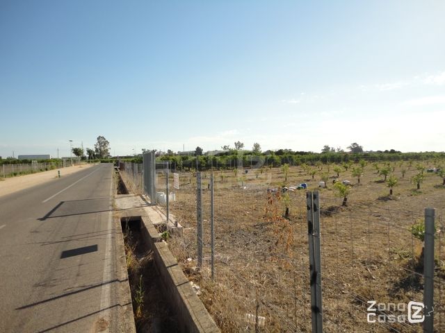 FINCA RUSTICA O CAMPO EN ALGEMESI