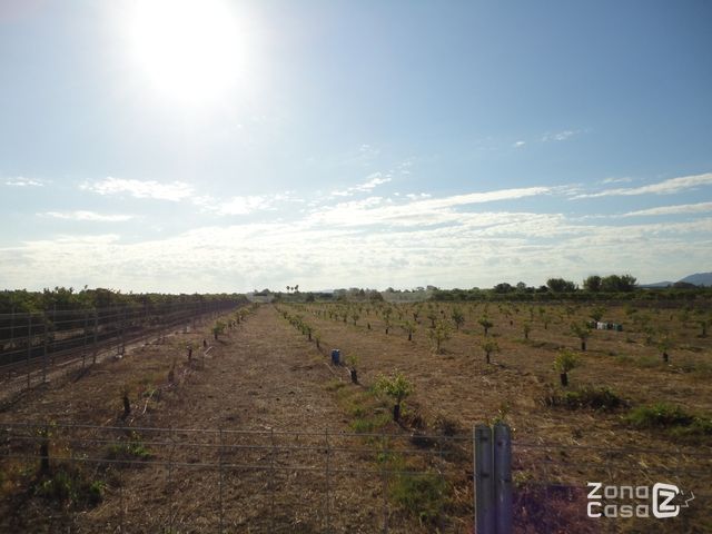 FINCA RUSTICA O CAMPO EN ALGEMESI