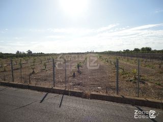 FINCA RUSTICA O CAMPO EN ALGEMESI