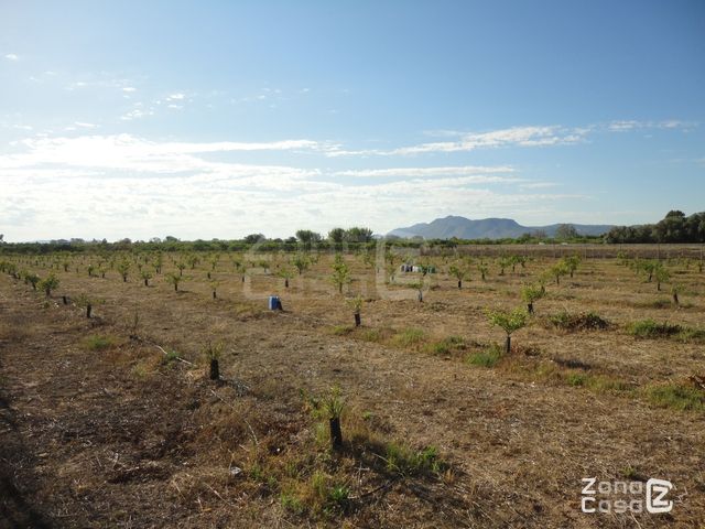 FINCA RUSTICA O CAMPO EN ALGEMESI