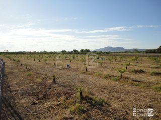 FINCA RUSTICA O CAMPO EN ALGEMESI