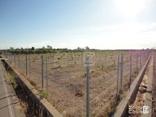 FINCA RUSTICA O CAMPO EN ALGEMESI