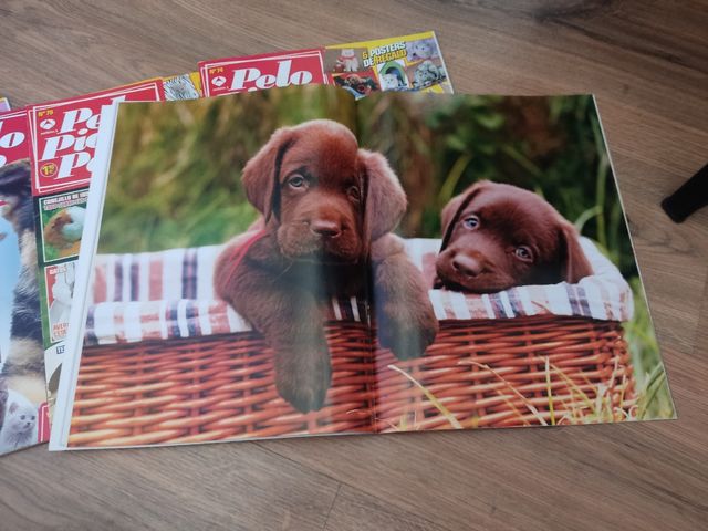 Revistas Pelo pico pata