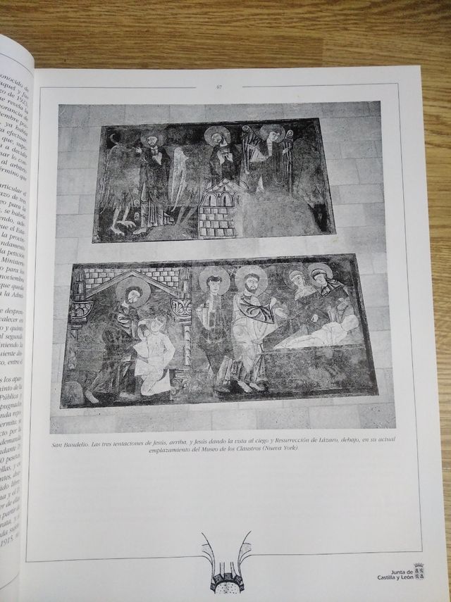 Libro " Lo que se llevaron de esta tierra"