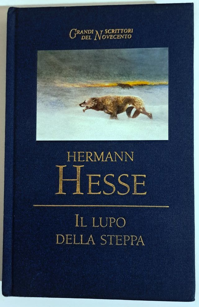 Libri usati ma in ottimo stato