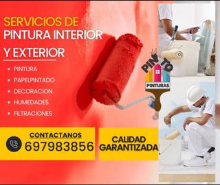 PINTOR PROFESIONAL 