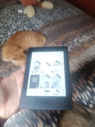 tapa y aparato ebook Paperwhite lector electrónico