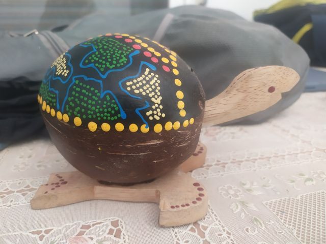 Tortuga madera
