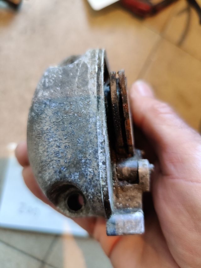 Selettore Vespa crab