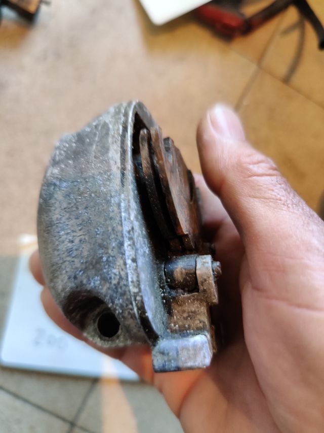 Selettore Vespa crab