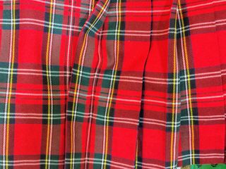 Falda escocesa plisada de tablas  forro