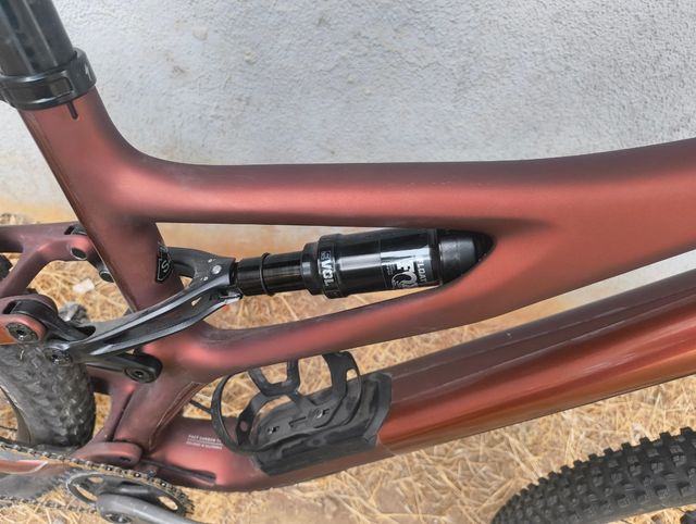 Specialized stumjumper carbono 29