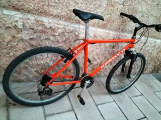 Bicicleta de montaña