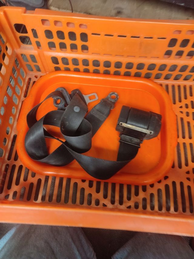 Cinturón de seguridad T4