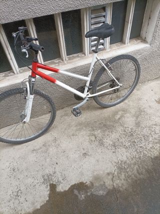 Bicicleta montaña 