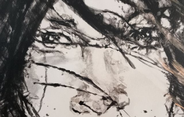 Acrílico y óleo sobre lienzo