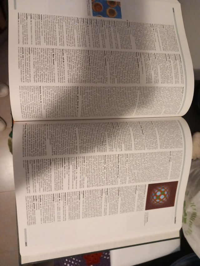 Enciclopèdia Salvat Català 