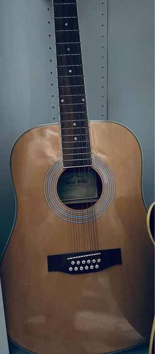 Guitarra acustica doce cuerdas