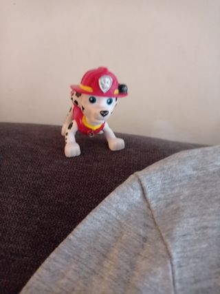 Camiseta niño+regalo