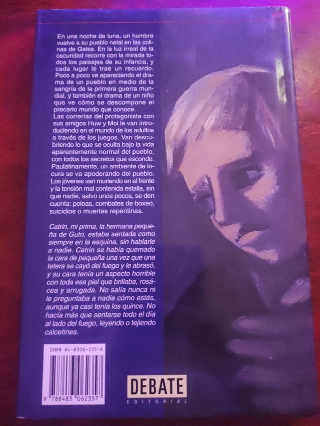 UNA NOCHE DE LUNA de Caradog Prichard