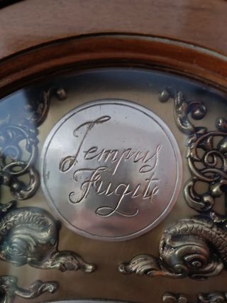 Reloj de pie TEMPUS FUGIT