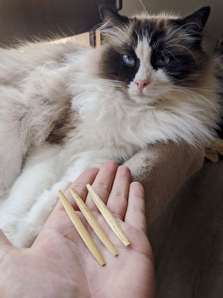 Palas para cañas de oboe con forma