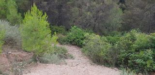 Terreno en venta en Súria