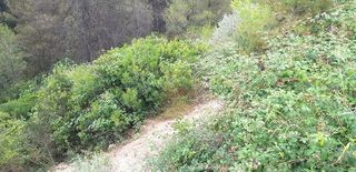 Terreno en venta en Súria