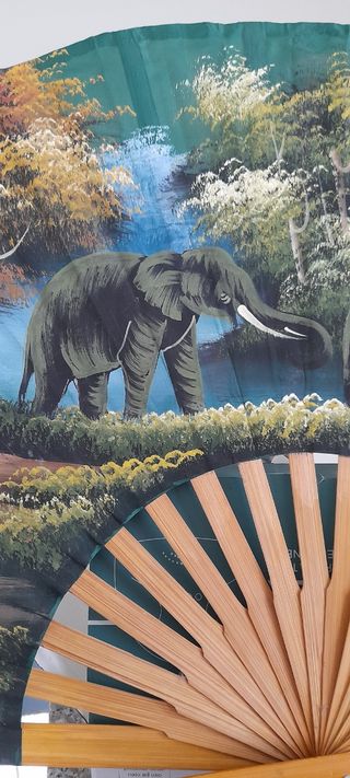 Ventaglio da parete/arredo
