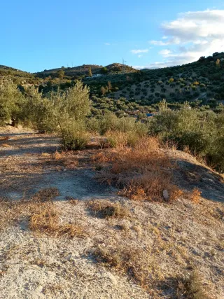 Terreno en venta