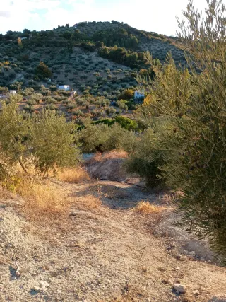 Terreno en venta