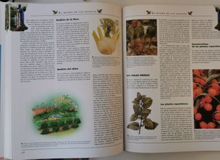 Enciclopedia de medicina natural y salud. Desde 5€