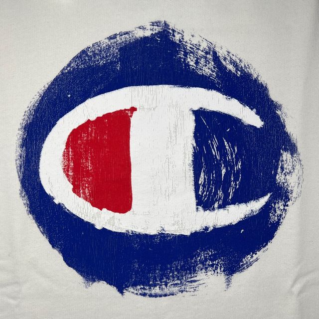 Champion Sportswear Hoodie Y2K