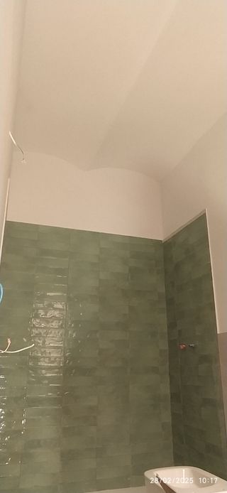 Realizó cualquier trabajo de construcción