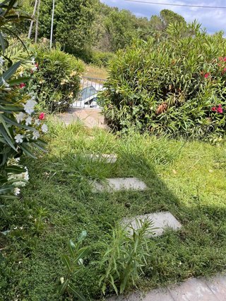 El JARDINERO